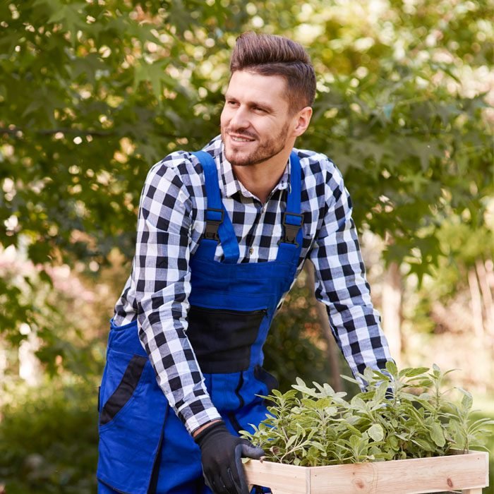 gardener-lifting-wooden-crate-with-seedling-2021-08-27-09-36-47-utc-1.jpg